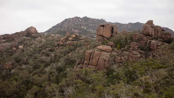 Rock outcrops